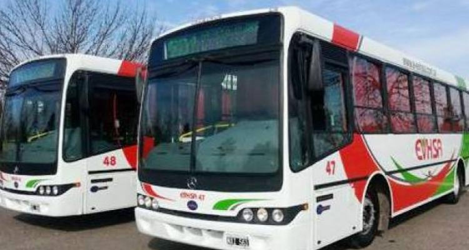 Paro de Colectivos: cómo afecta a San Pedro