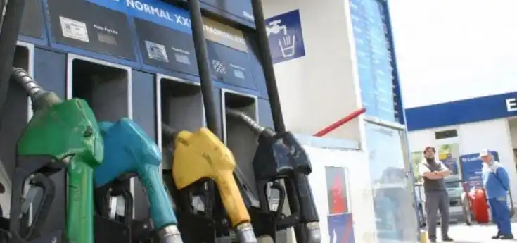 Crisis económica: Por las desmedidas subas, se desplomó el consumo de naftas