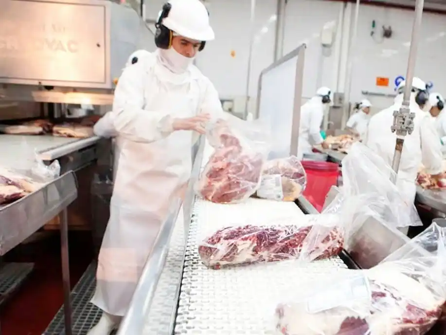 La faena de vacunos siguió en baja durante marzo y el precio de la carne para consumo subió casi el 70%