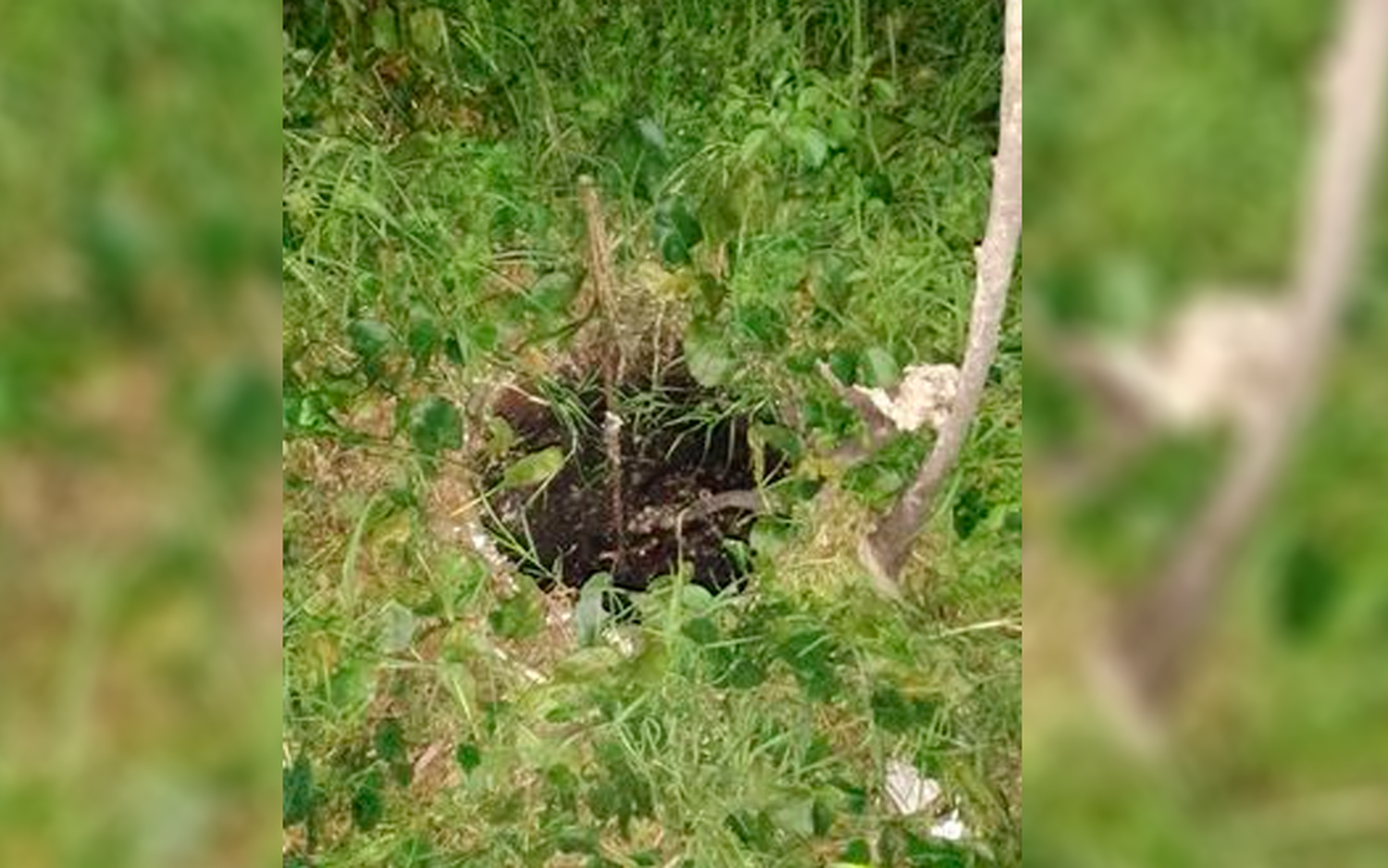 Cuidado en Manuel Iglesias y Ayacucho
