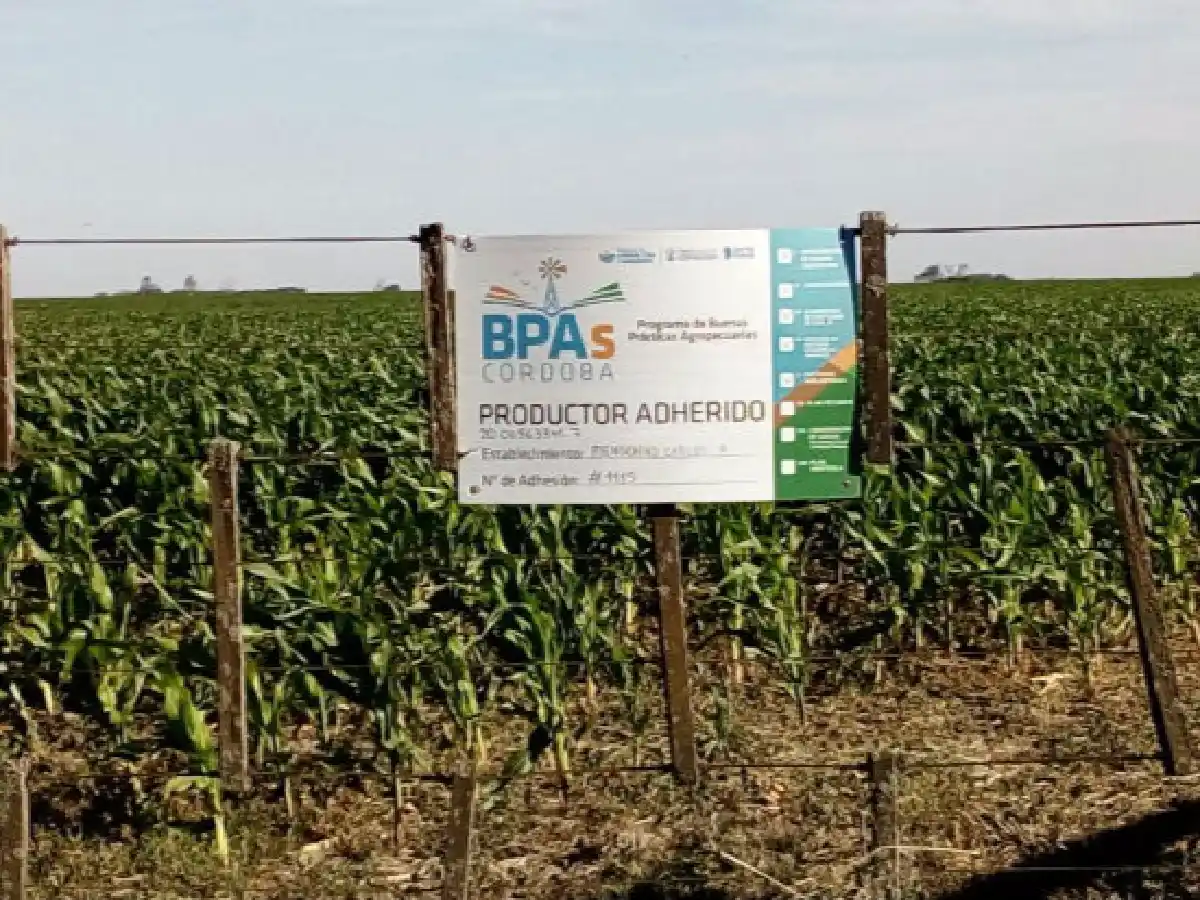  Buenas Prácticas Agropecuarias:  casi 600 productores adhirieron al programa en 2018