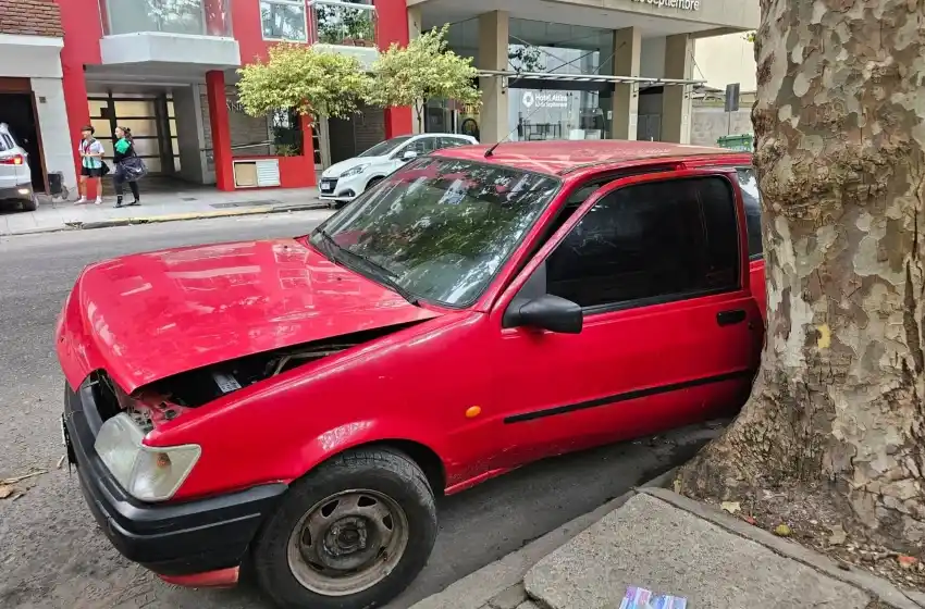 Dos adolescentes de 15 años causaron destrozos en un auto estacionado