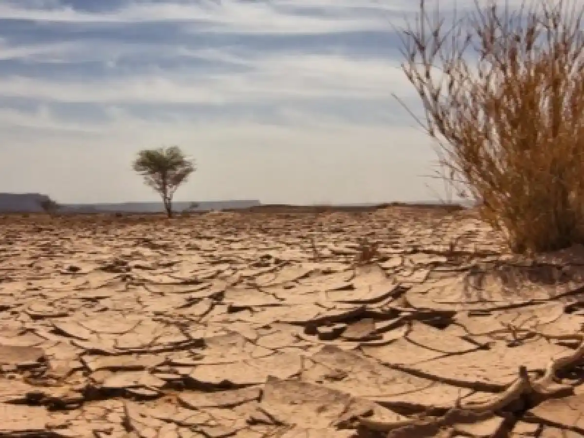 Por qué la primavera vino con tanta amplitud términa durante el día, leé esta nota para enterarte