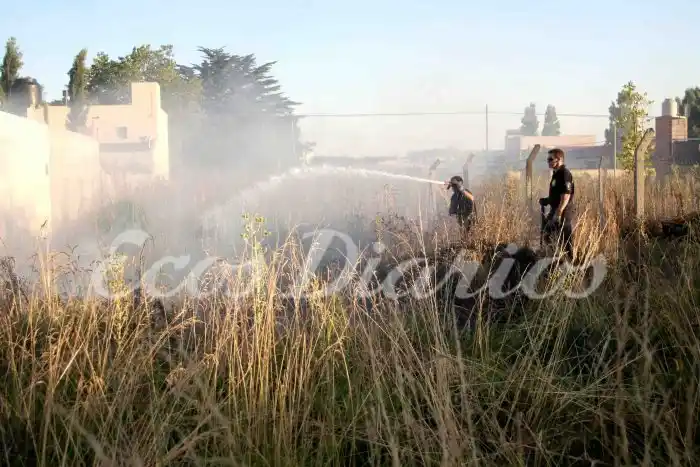Incendios de pastizales en la ciudad y rastrojos en el campo
