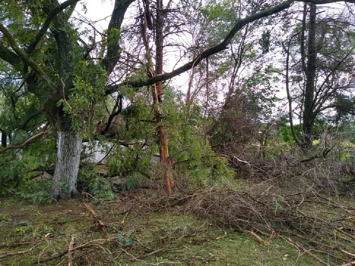 El predio de la UOM cierra hasta nuevo aviso