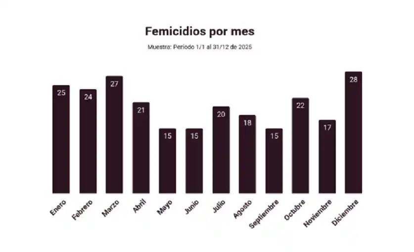 El Observatorio de la Defensoría registró 247 víctimas de femicidio en Argentina durante 2025