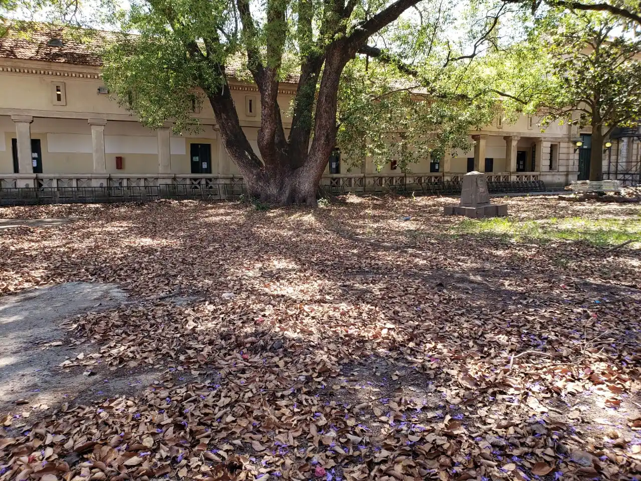 Clases presenciales para sexto año: Casi 400 alumnos volvieron a las aulas
