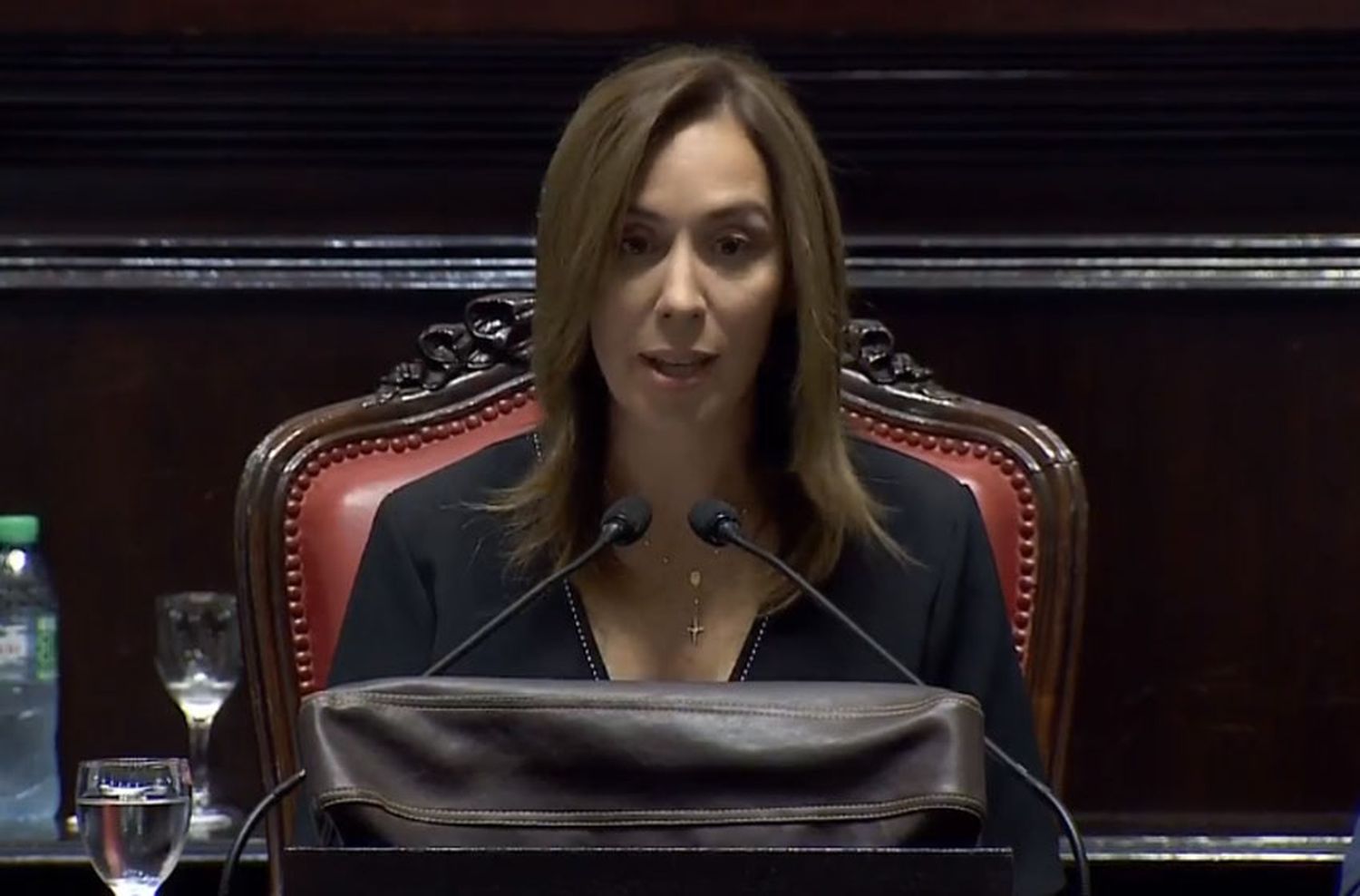 Vidal en el Congreso: "El cambio que les prometimos está pasando"