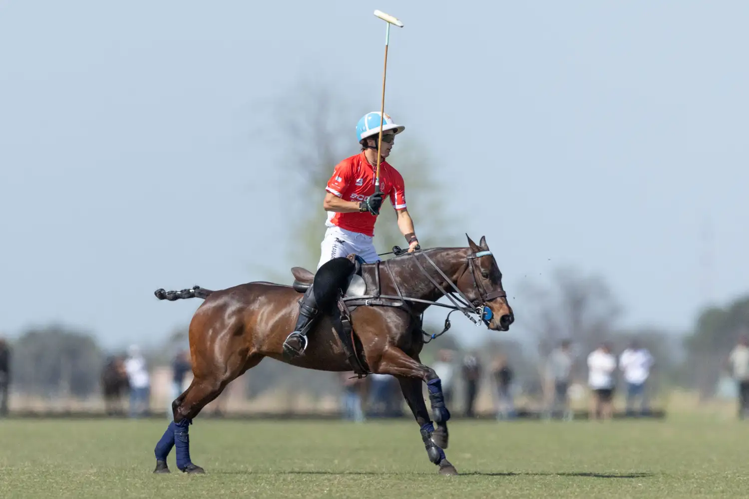 FOTO SANTIAGO YOUNG Scone es uno de los finalistas.