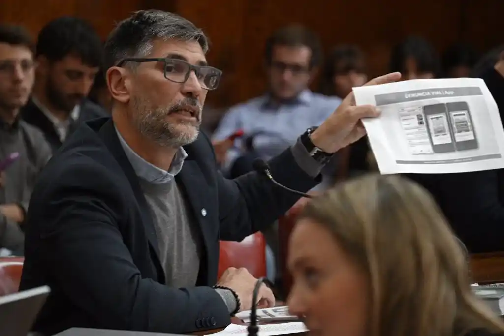 “Se roban seis autos y ocho motos por día”: concejal marplatense denunció una ola de robos y pidió respuestas al Estado