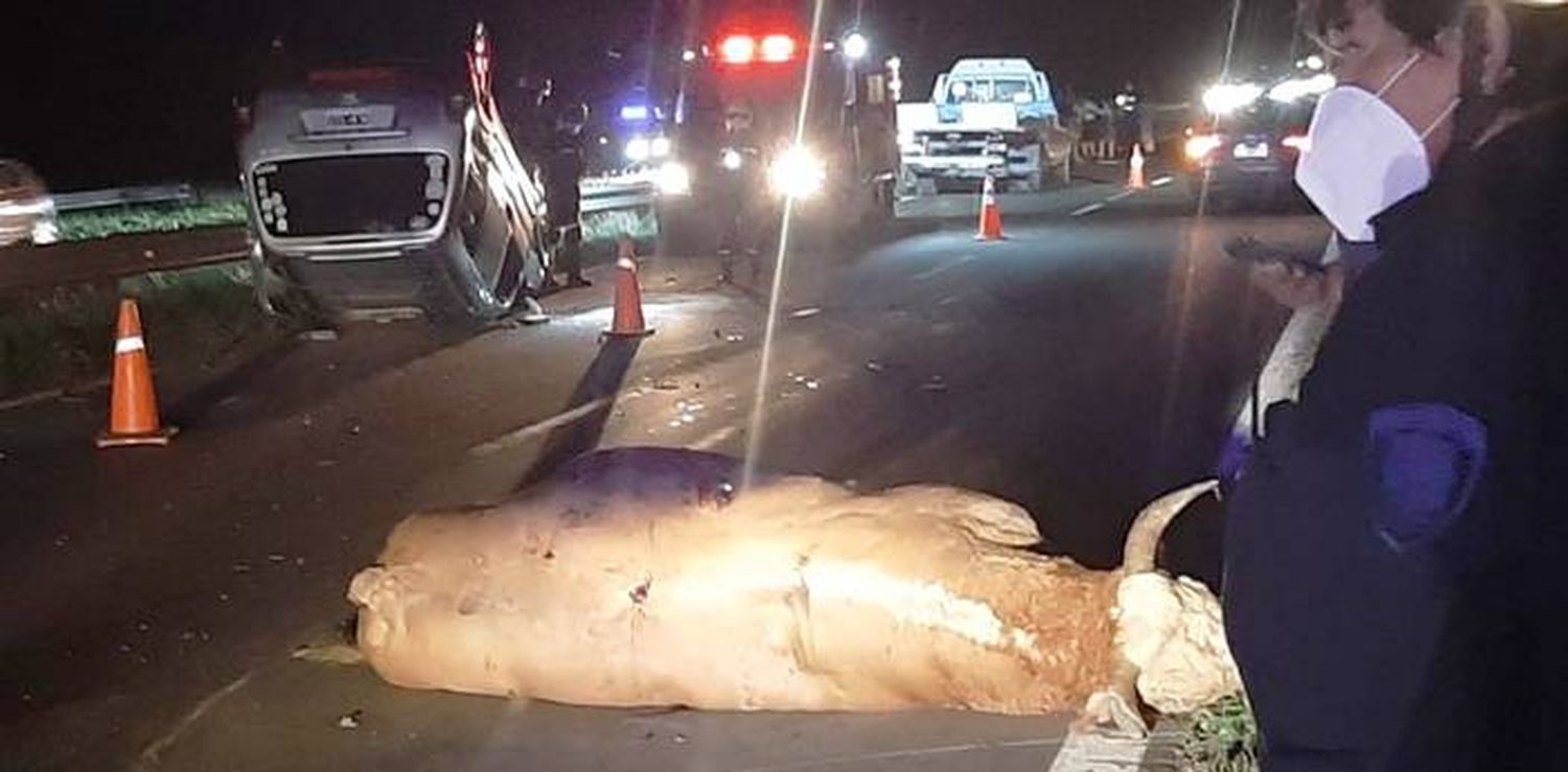 Tres viajantes chocaron  contra un toro de 500 kilos