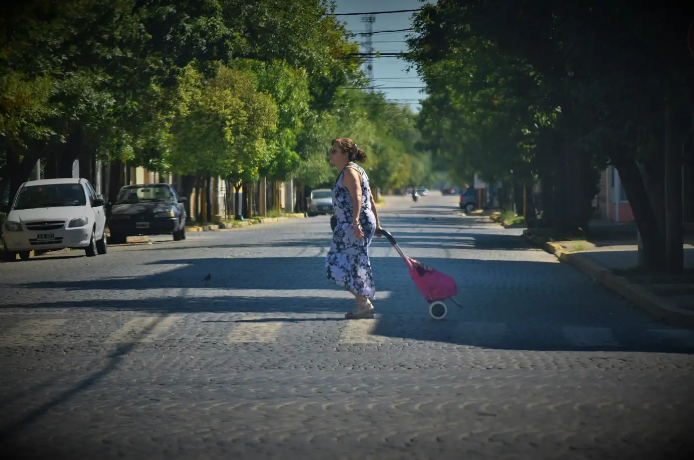 Domingo soleado en San Francisco: la máxima alcanzará los 28 °C