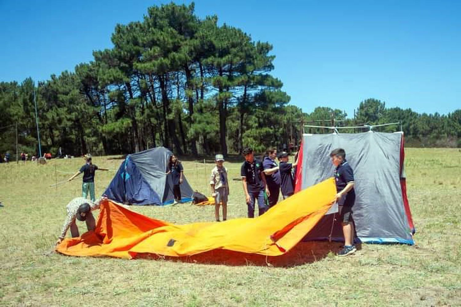Intensa actividad en el campo scout y trabajos para el campamento nacional