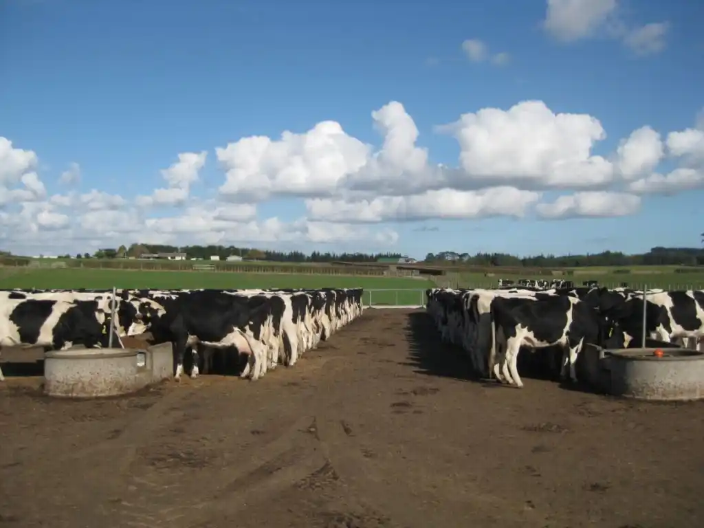 Tamberos reclaman el pago de compensaciones