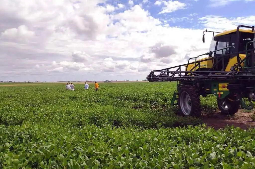 Habrá una contribución “récord” de la agricultura