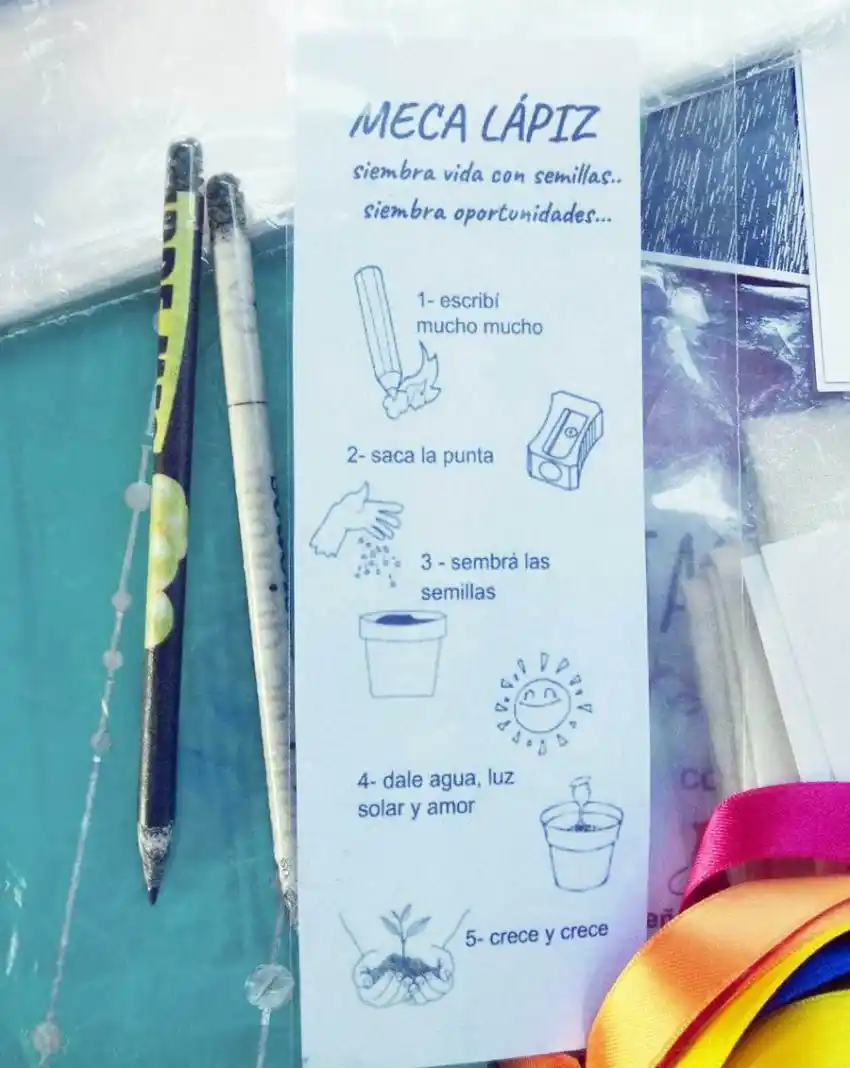 La Meca cerró el año con la siembra de libros de Verano