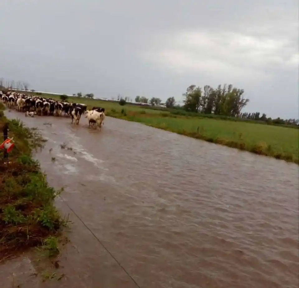 Preocupa al campo el estado de los caminos rurales debido a las intensas precipitaciones