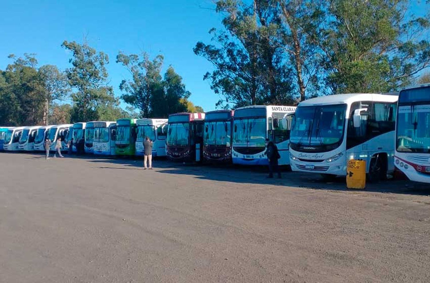 Piden declarar la Emergencia del Transporte público de pasajeros en Mar del Plata