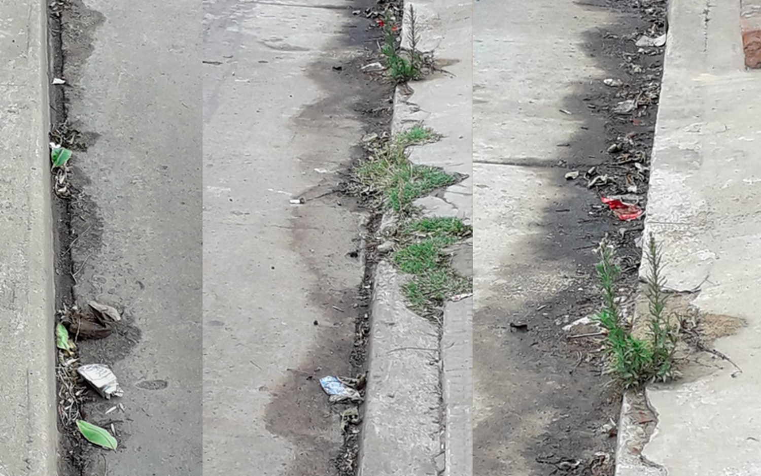 Reclamo: “Todo el tiempo olor”, en calle Caseros