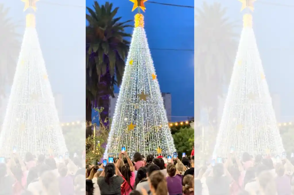Se encendieron las luces del Árbol de Navidad