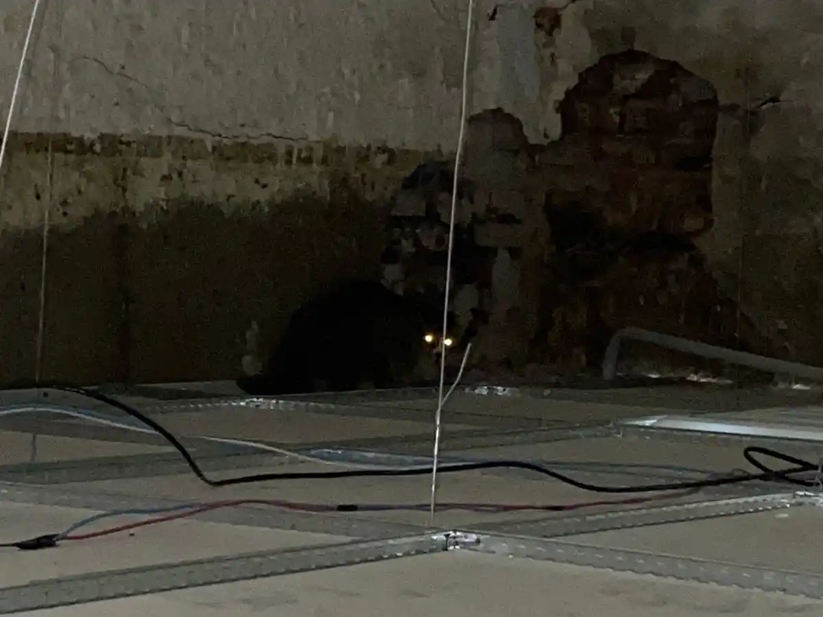 El felino pudo ser rescatado en buen estado.