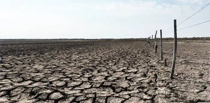 El campo ya no puede esperar los tiempos de la política, expresaron