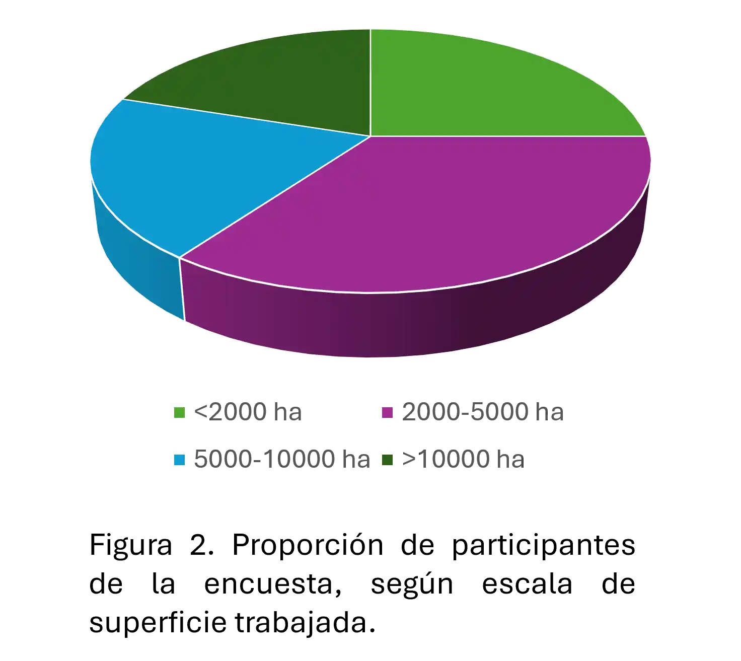 cuadro radigrafia gruesa bcp 2