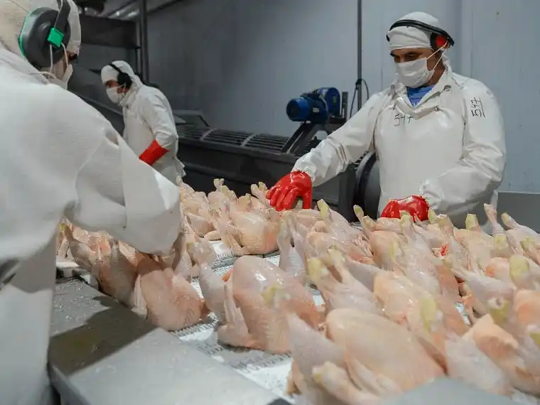Entre Ríos retoma un rol clave en la exportación avícola tras la reapertura del mercado japonés