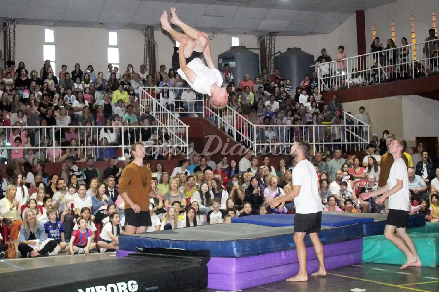 Un espectáculo de primer nivel se desarrolló en el gimnasio del colegio danés