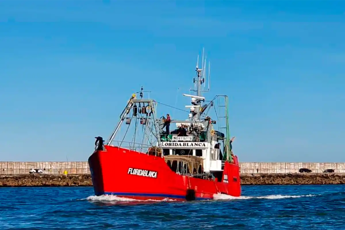 Las fotos del impresionante ejemplar de atún de 165 kilos, capturado entre Mar del Plata y Necochea