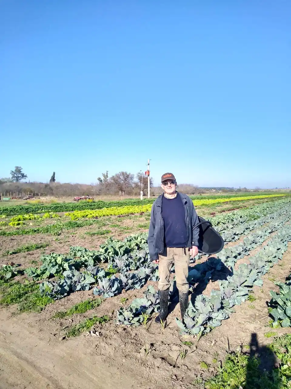 Verduras y hortalizas inocuas desde la huerta a la mesa