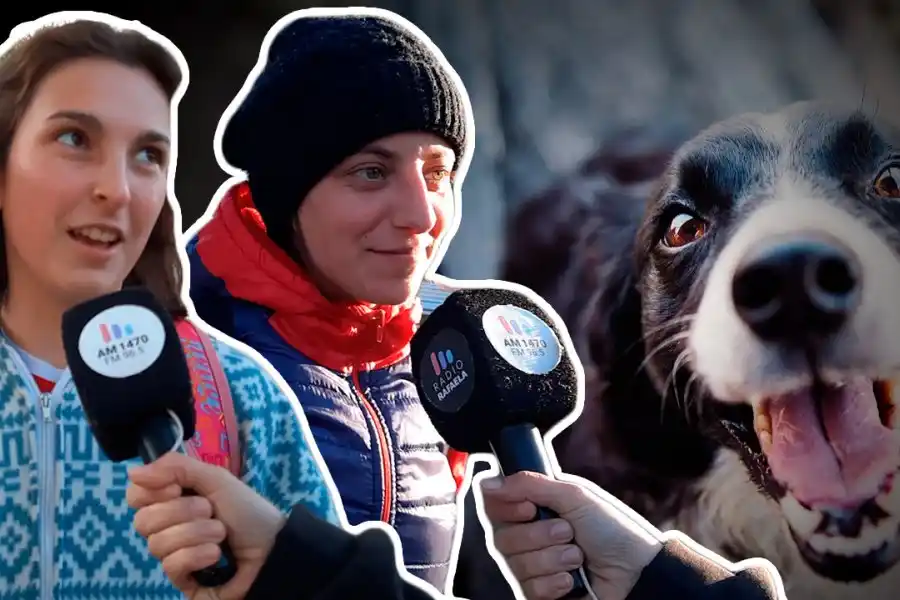 VIDEO | Salimos a conocer las mascotas de los rafaelinos: ¿qué compañía gana?, ¿perros o gatos?