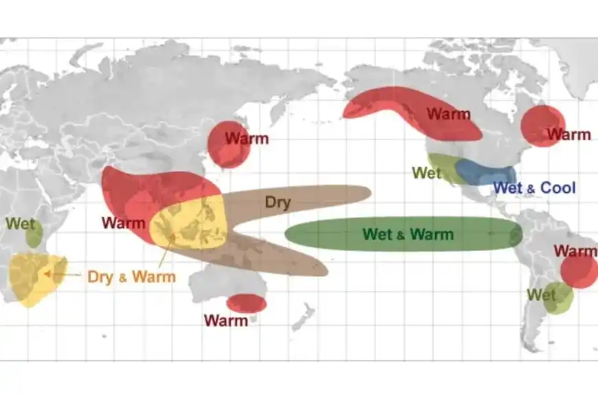Especialistas monitorean la evolución del fenómeno en el océano Pacífico.