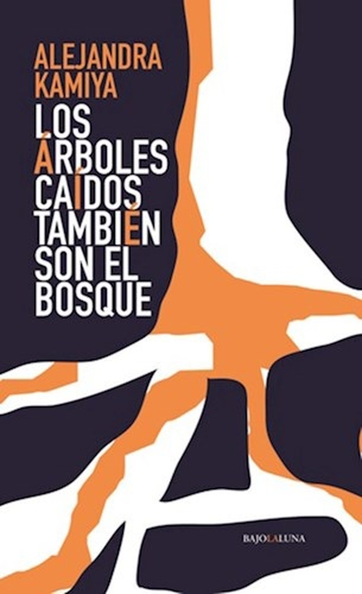 Indecisiones