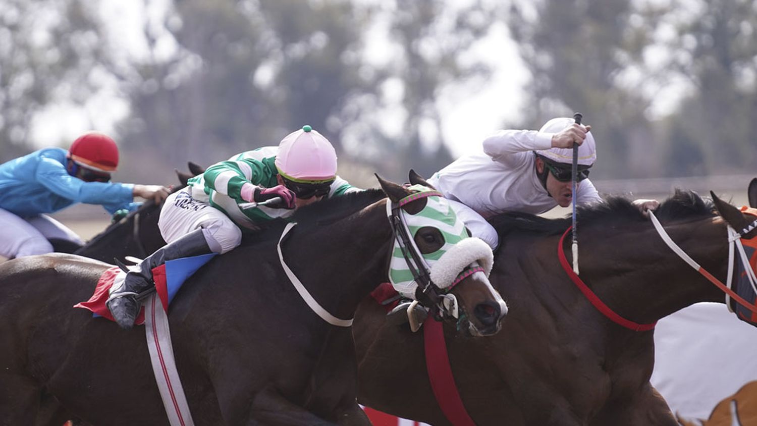 El Jockey Club San Francisco ofrecerá una atrayente cartelera