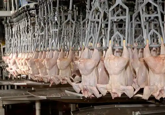 La Provincia reclamará a la Nación por la situación de la cadena avícola 