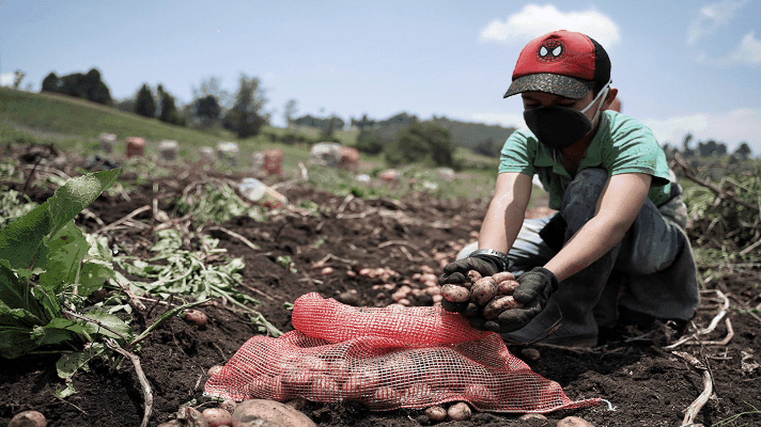 Consecuencias de la PANDEMIA: Colombia entra en recesión por primera vez en dos décadas