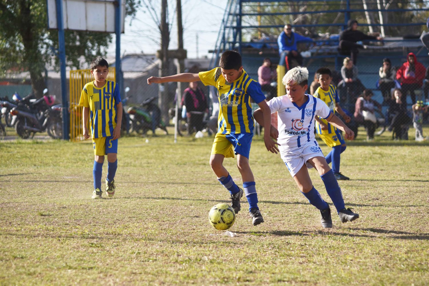 Los niños disputaron la 11ª fecha del campeonato.