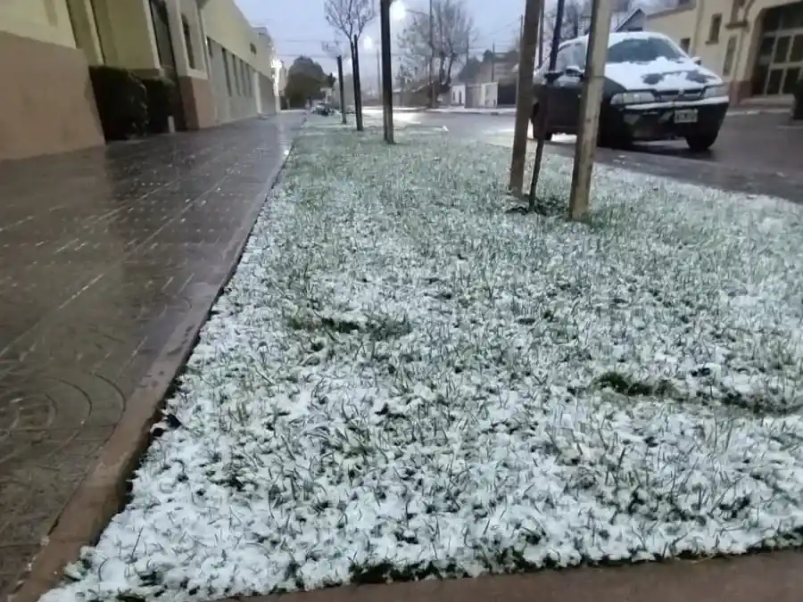 La nieve llegó al interior del distrito y también sorprendió en algunos sectores de Necochea
