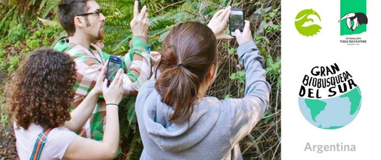 Vida Silvestre invita a todas las ciudades del país a representar a la Argentina en la Gran BioBúsqueda del Sur 2020