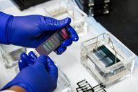 Arribó la primera tanda de kits de testeo rápido y se dejarán de enviar muestras al INE