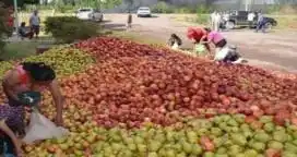 Productores regalarán 10.000 kilos de fruta en Plaza de Mayo