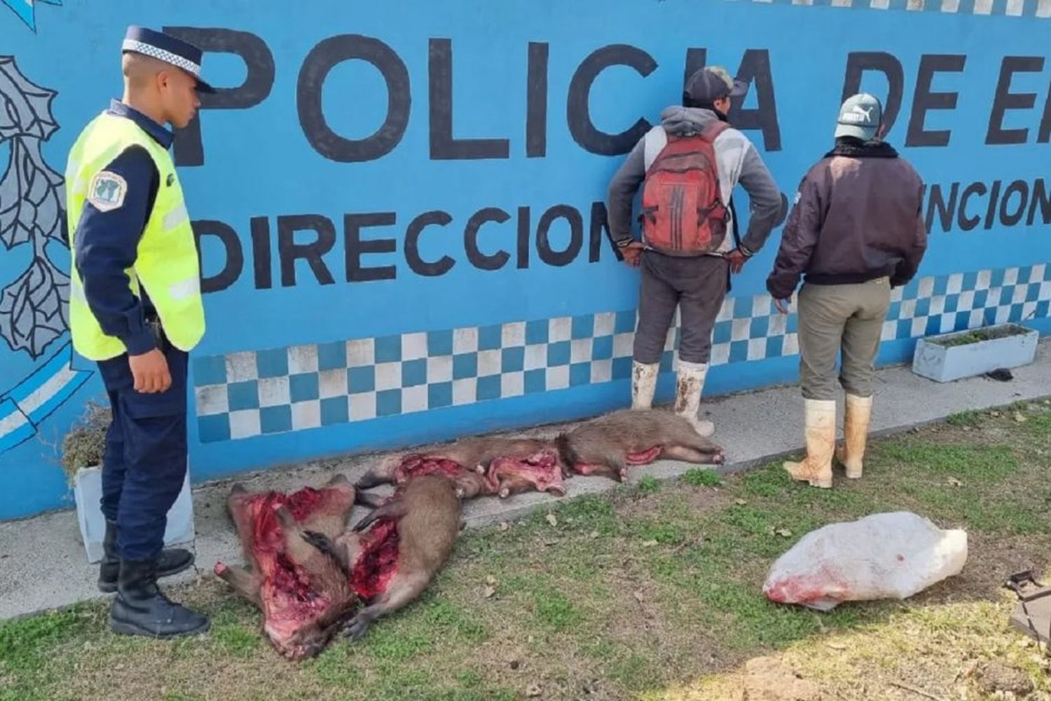 Dos motociclistas llevaban 4 Carpinchos eviscerados hasta que los paró el Puesto Caminero Gualeguay