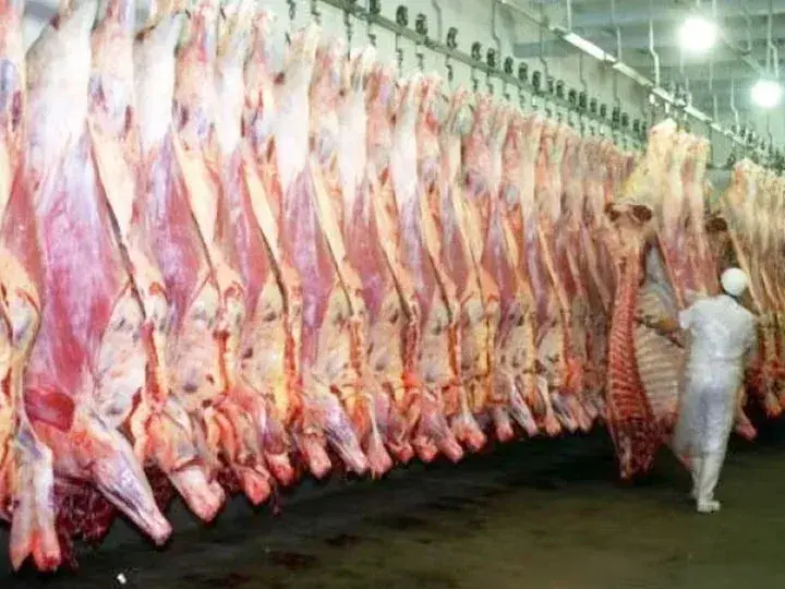 La Argentina volverá a exportar carne a Japón después de 20 años