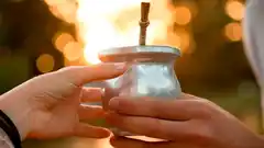 Día Nacional del Mate: las claves de sus beneficios para la salud