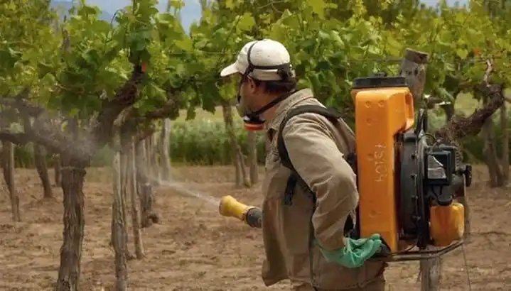 Chubut se convirtió en la primera provincia patagónica en prohibir el glifosato