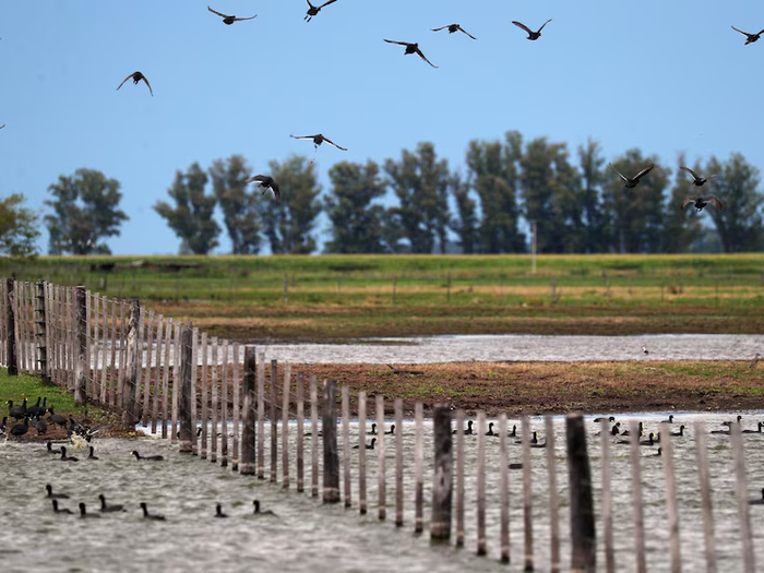 Lluvias históricas generan pérdidas millonarias y paralizan la producción en campos bonaerenses
