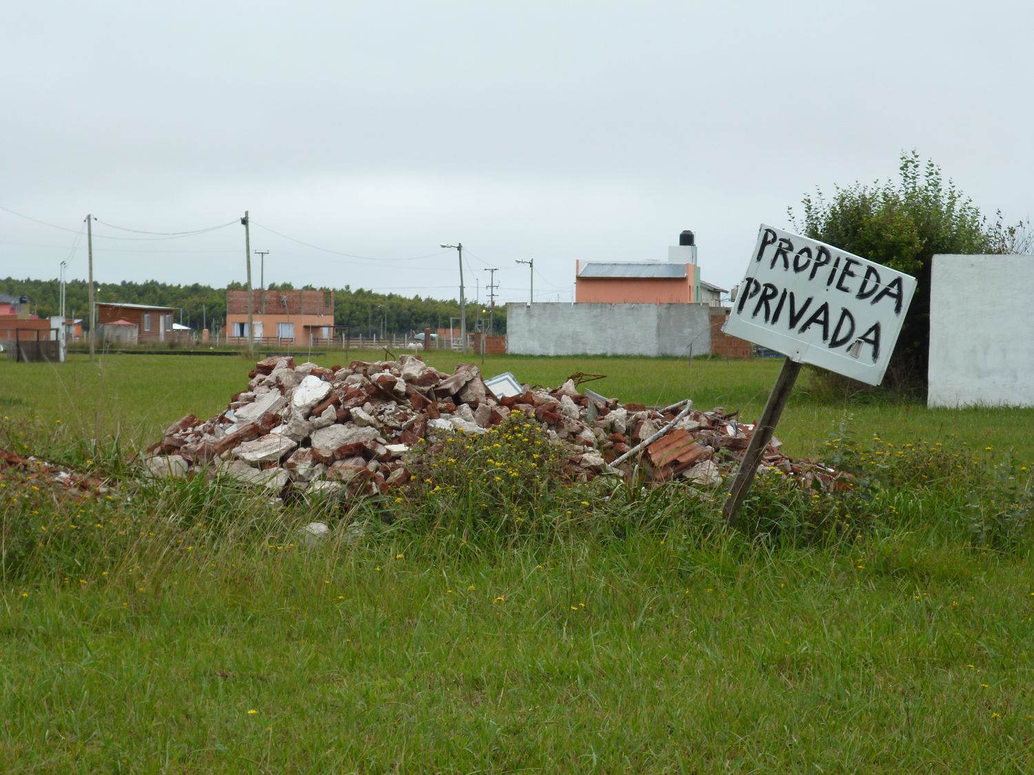 Usurpaciones: “Hay que reconocer el problema y abordarlo”