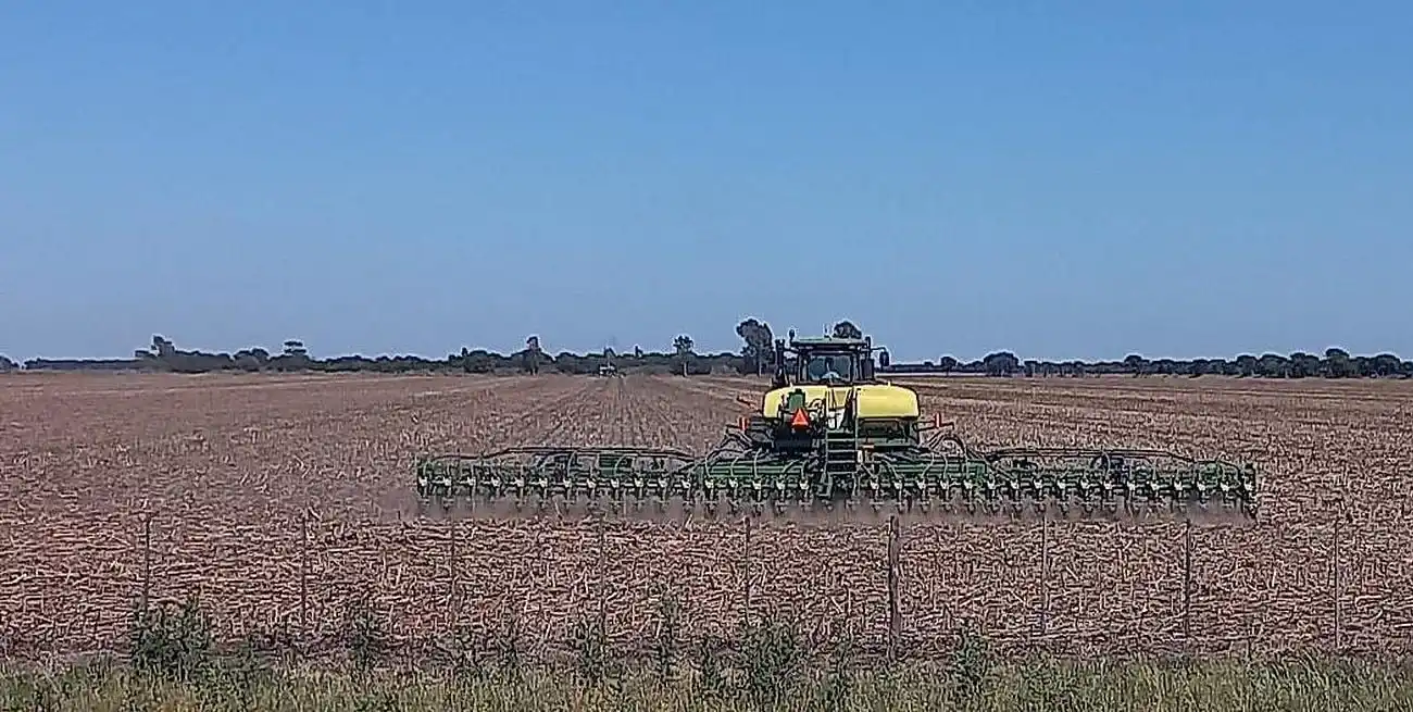 La siembra de soja avanza un 36%, con un atraso de nueve puntos respecto de la campaña pasada.