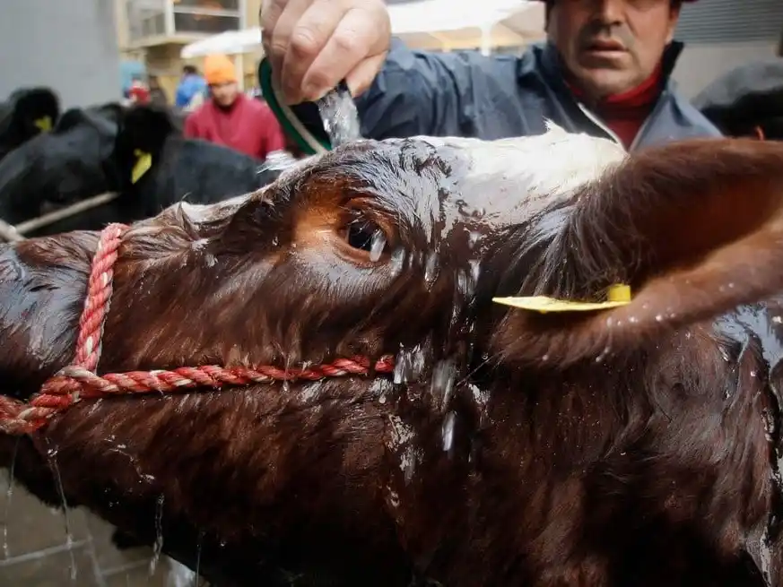 Más allá del marco legal, el 8 de octubre es una fecha que invita a reconocer el valor humano detrás de la producción agropecuaria.